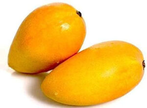 Indian Alphonso Mango Exporter