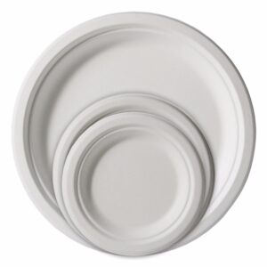 disposable plates